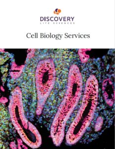 Cell Biology Services Brochure | Discovery Life Sciences